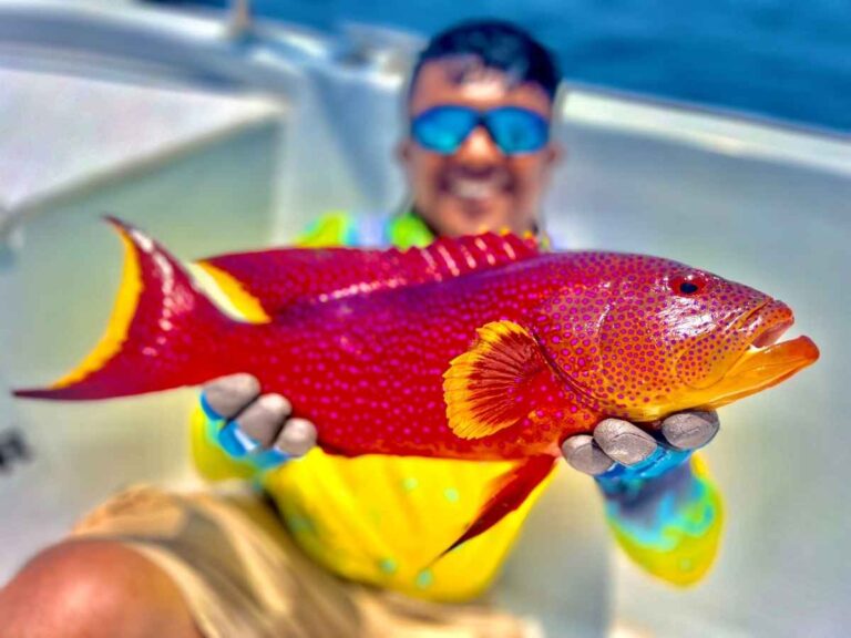 Why To Choose BITE ME CHARTER